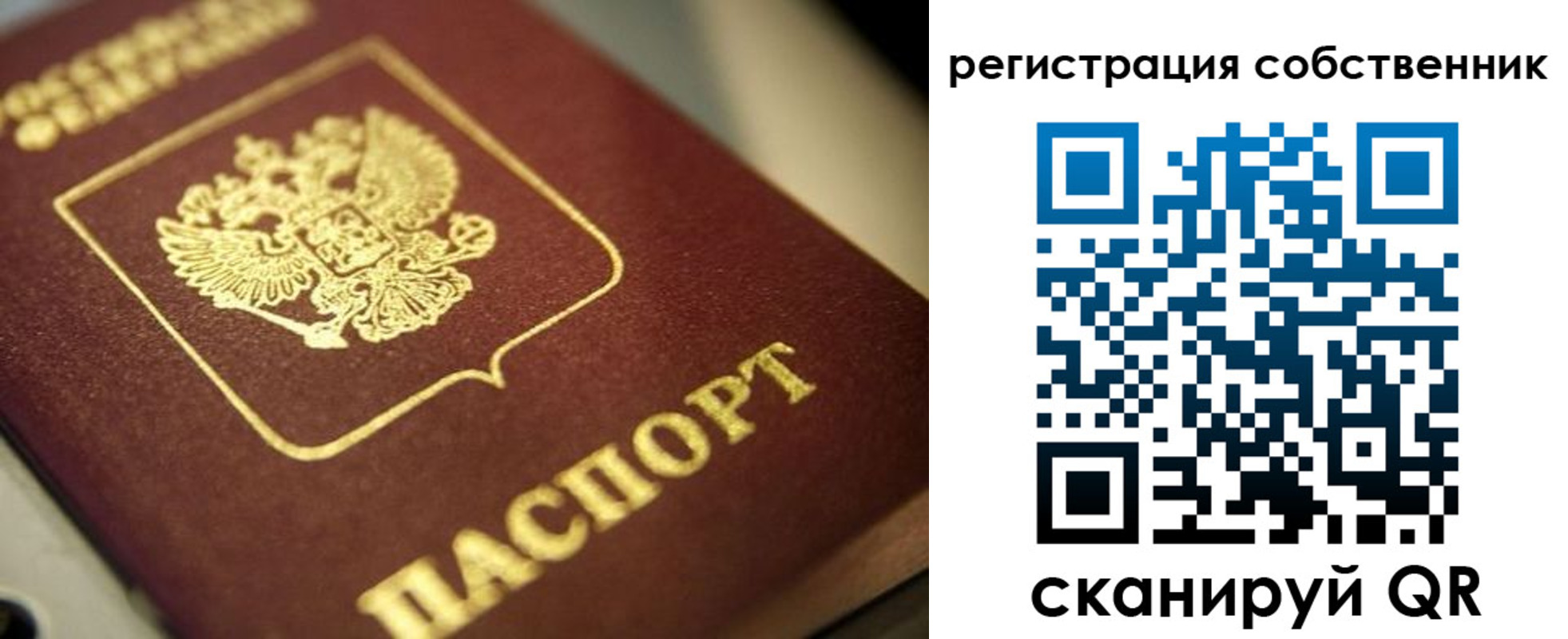 прописка в Дорогобуже